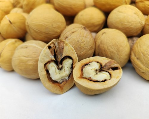 Healthy walnuts as a source of omega-3 fats